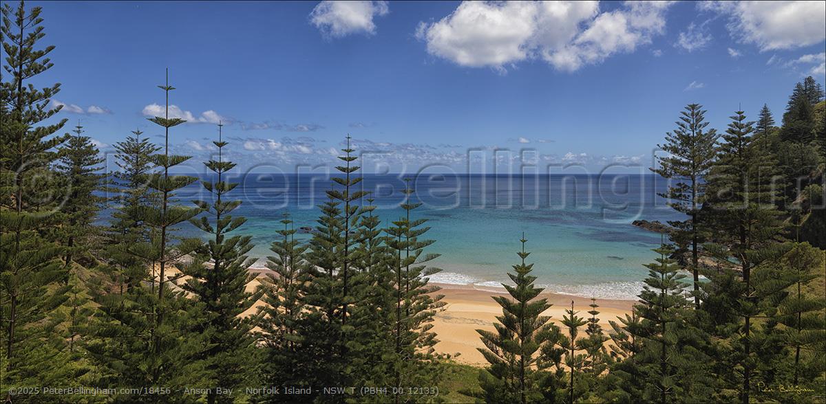 Peter Bellingham Photography Anson Bay - Norfolk Island - NSW T (PBH4 00 12133)